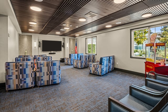 1 Allara-018g-theater